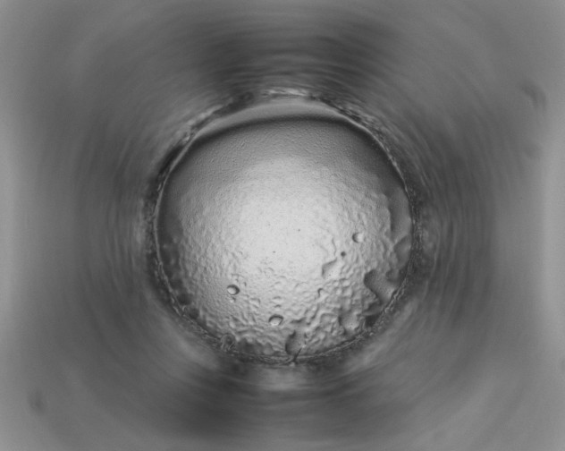 X0000113010359200909101822