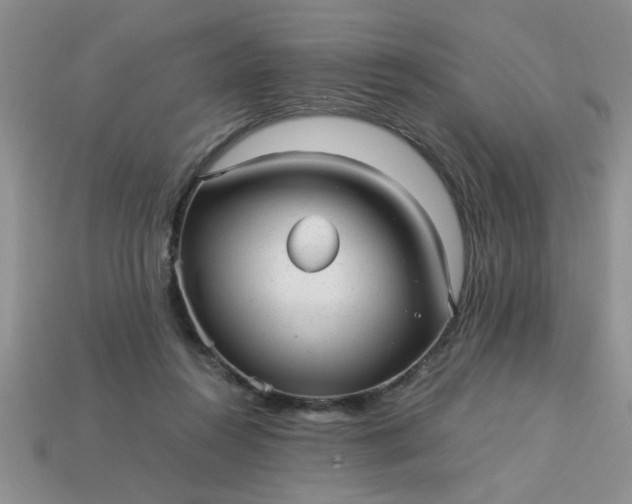 X0000113010360200909101822