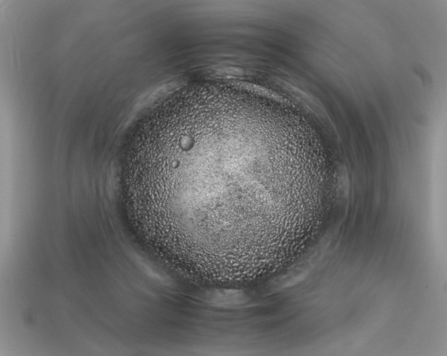 X0000113010361200909101822