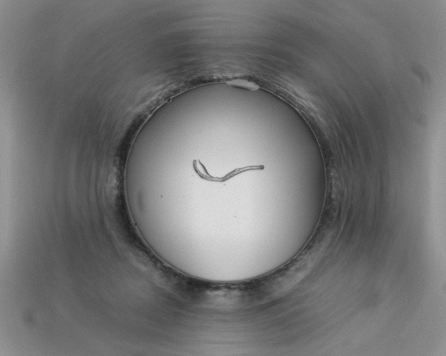 X0000113010362200909101822