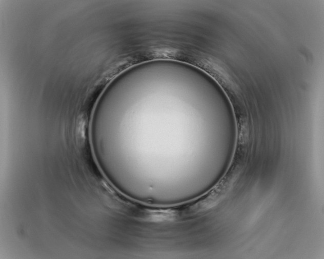 X0000113010363200909101822