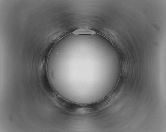 X0000113010364200909101822