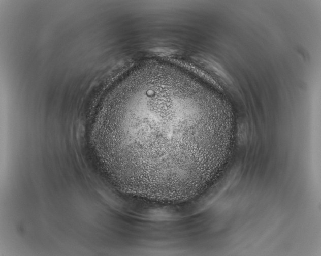 X0000113010365200909101822