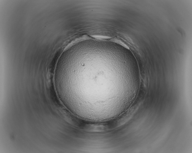 X0000113010366200909101822