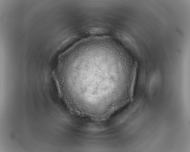 X0000113010367200909101822