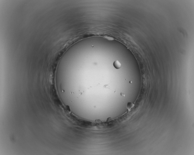 X0000113010368200909101822