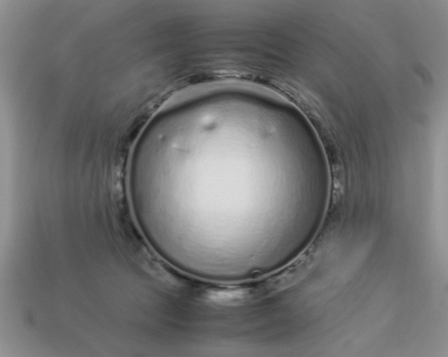 X0000113010369200909101822