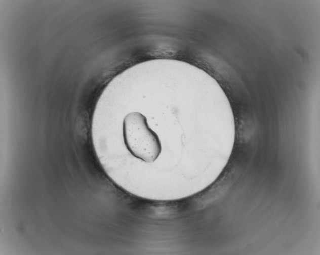 X0000113010370200909101822