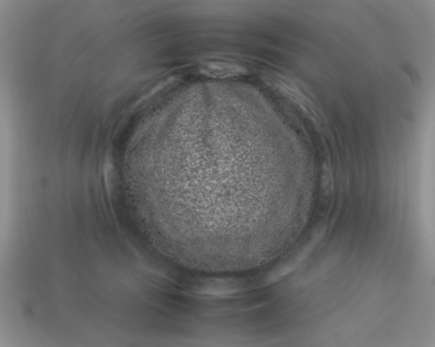 X0000113010371200909101822