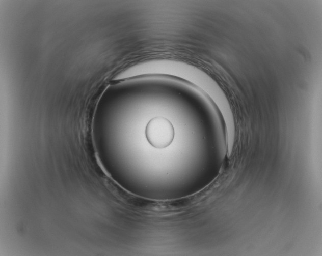 X0000113010372200909101822