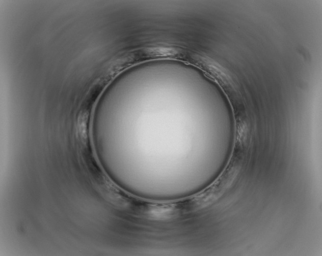 X0000113010373200909101822