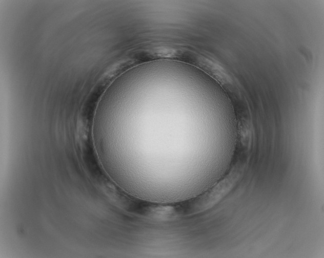 X0000113010374200909101822