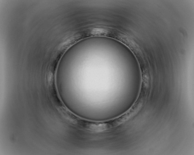 X0000113010375200909101822