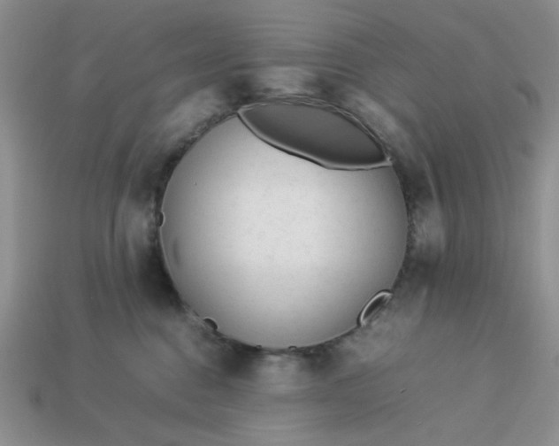 X0000113010376200909101822