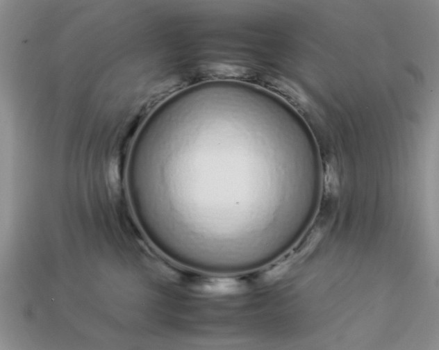 X0000113010377200909101822