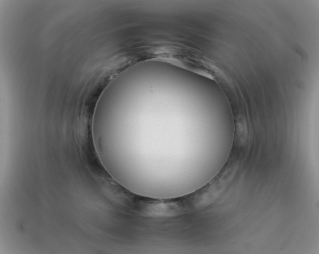 X0000113010379200909101822