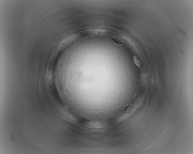 X0000113010381200909101822