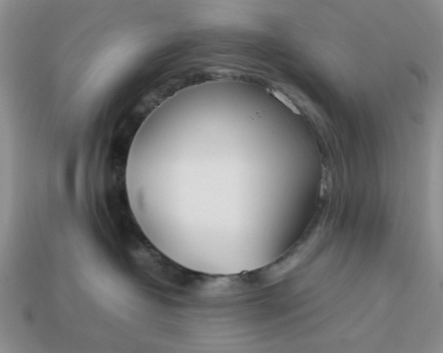 X0000113010382200909101822