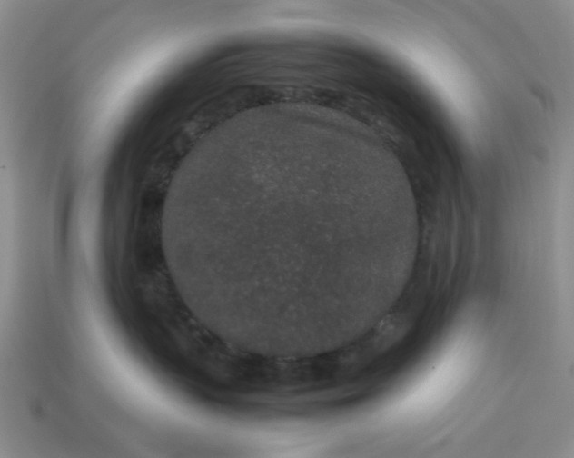 X0000113010383200909101822