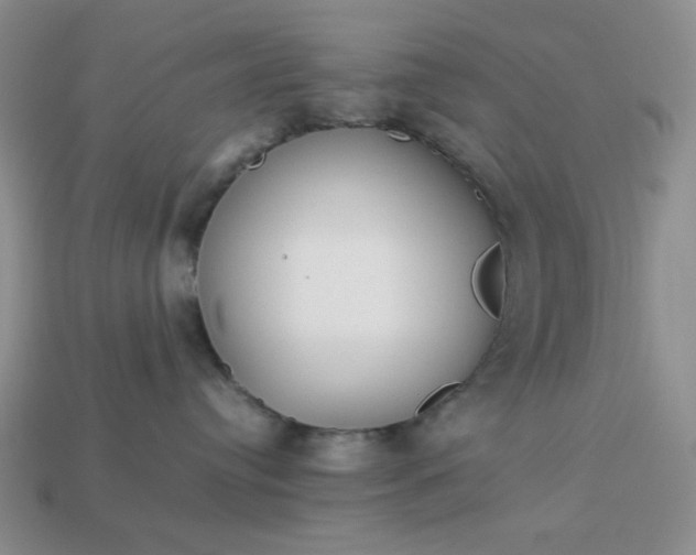 X0000113010384200909101822