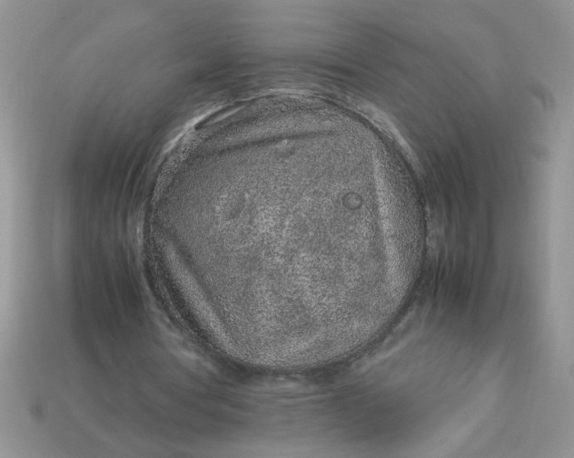 X0000113010386200909101822