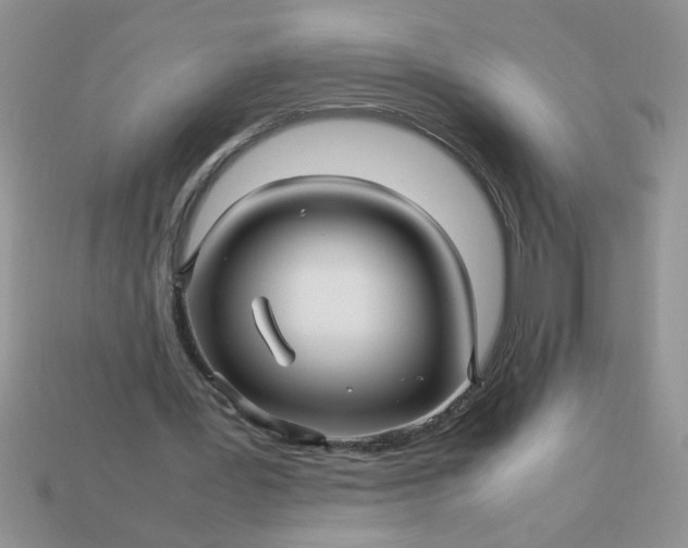 X0000113010387200909101822