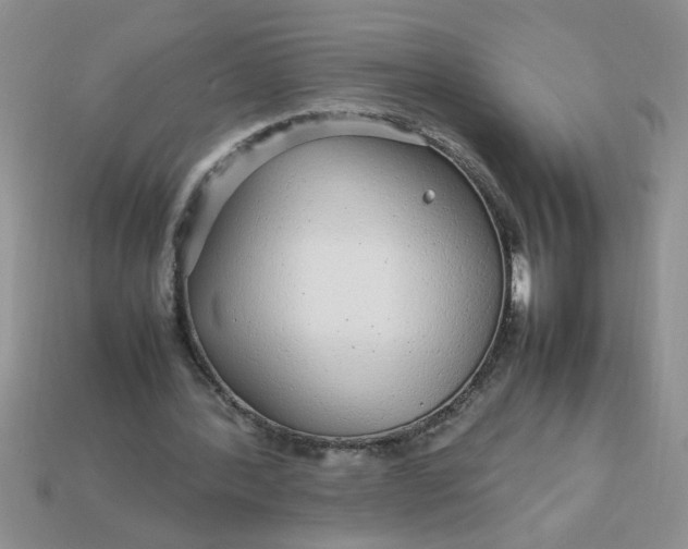 X0000113010388200909101822