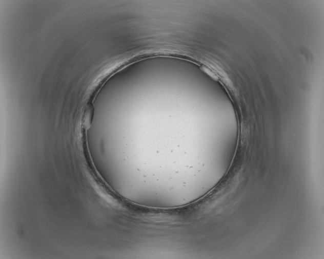 X0000113010389200909101822