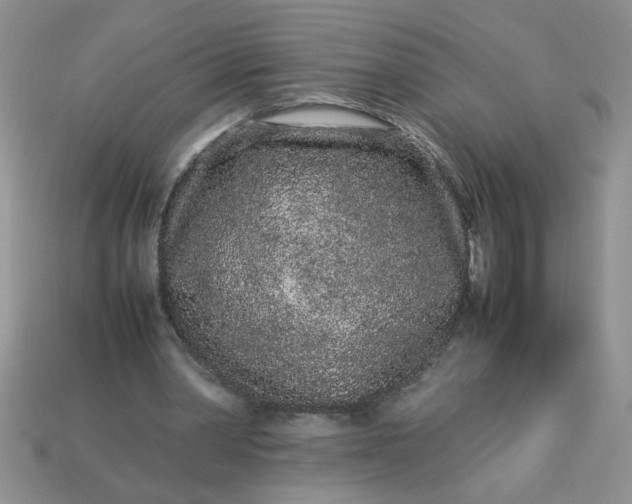 X0000113010390200909101822