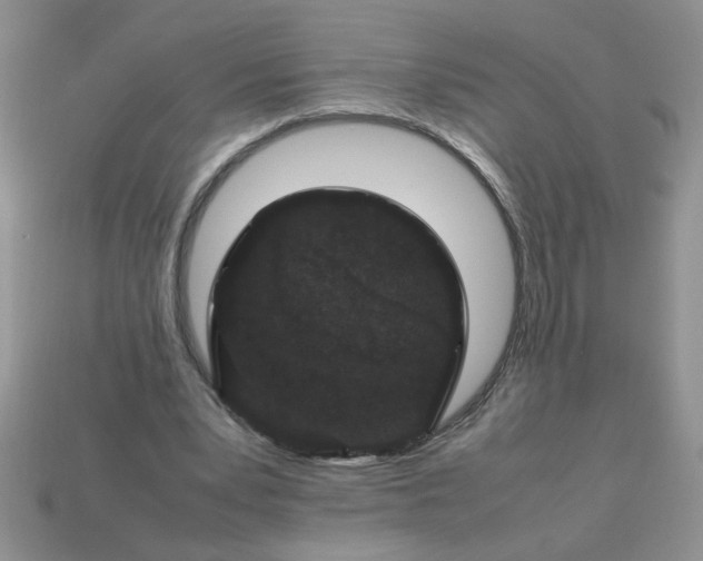 X0000113010391200909101822