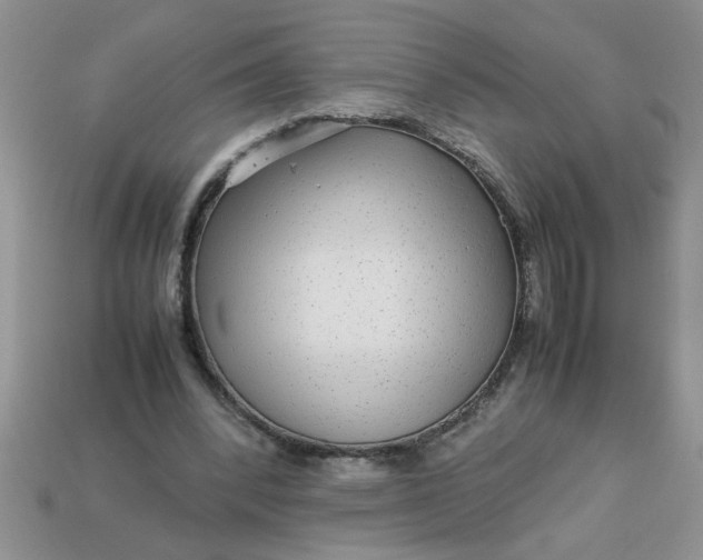 X0000113010392200909101822