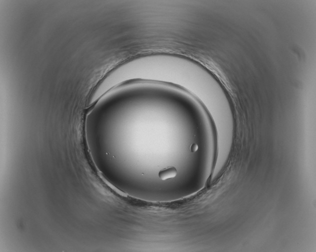 X0000113010393200909101822