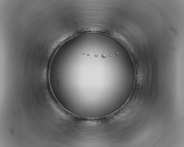 X0000113010394200909101822