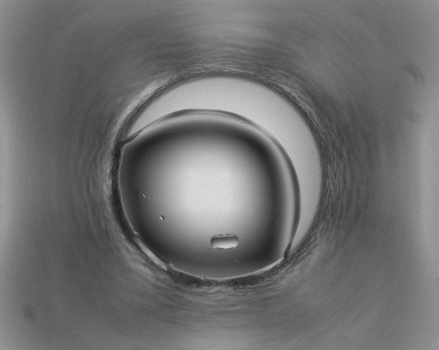 X0000113010395200909101822