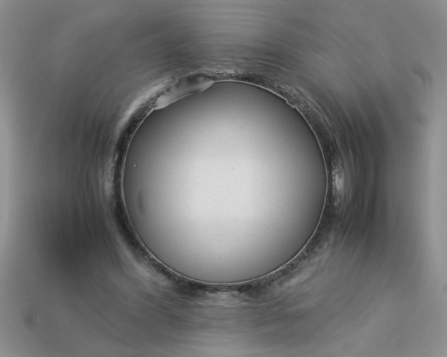 X0000113010396200909101822