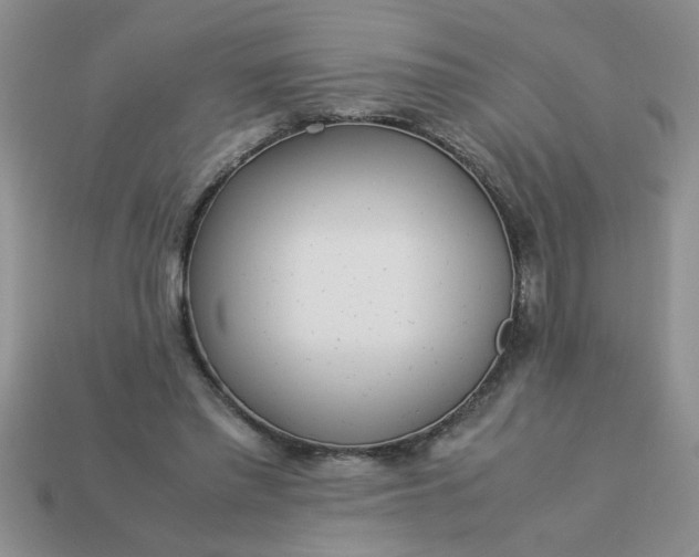 X0000113010397200909101822