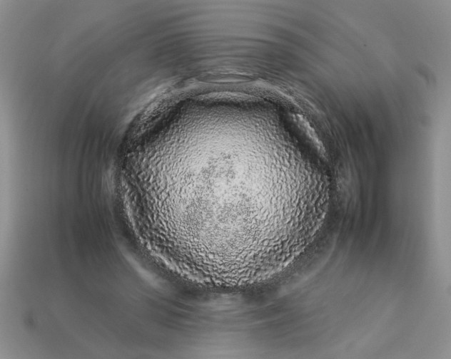 X0000113010398200909101822