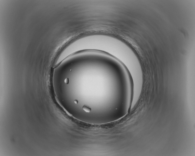 X0000113010399200909101821