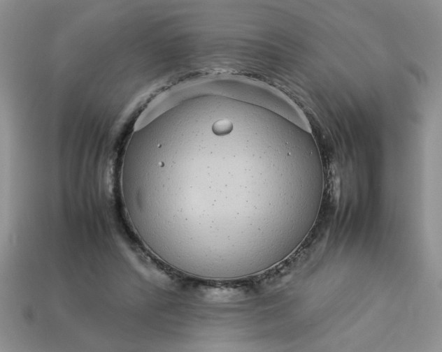 X0000113010400200909101821