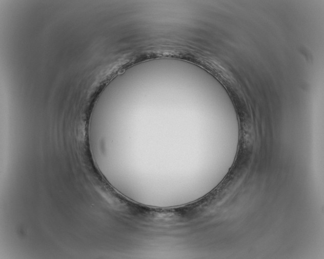 X0000113010401200909101821