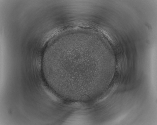 X0000113010402200909101821