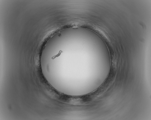 X0000113010403200909101821