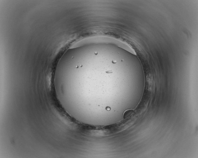 X0000113010404200909101821