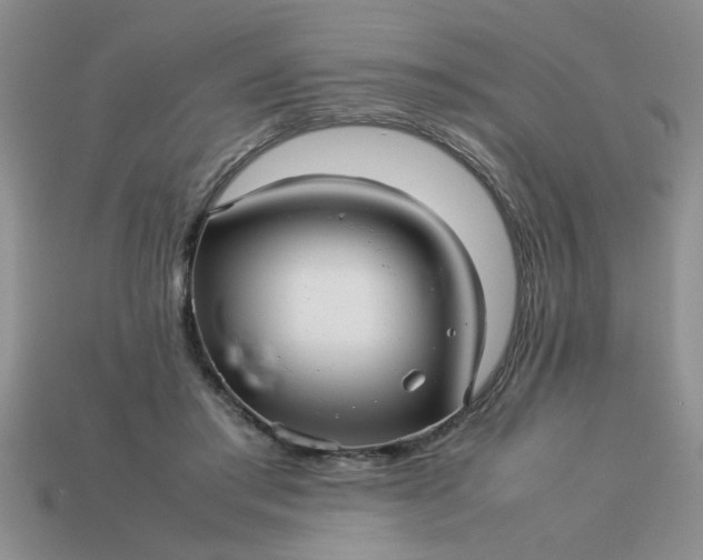 X0000113010405200909101821