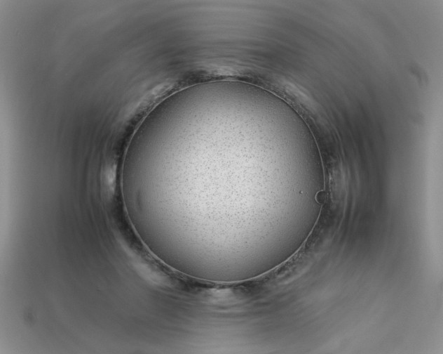 X0000113010406200909101821