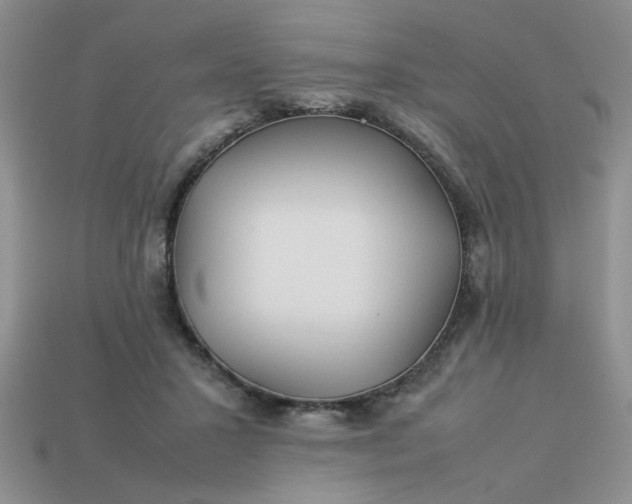 X0000113010407200909101821