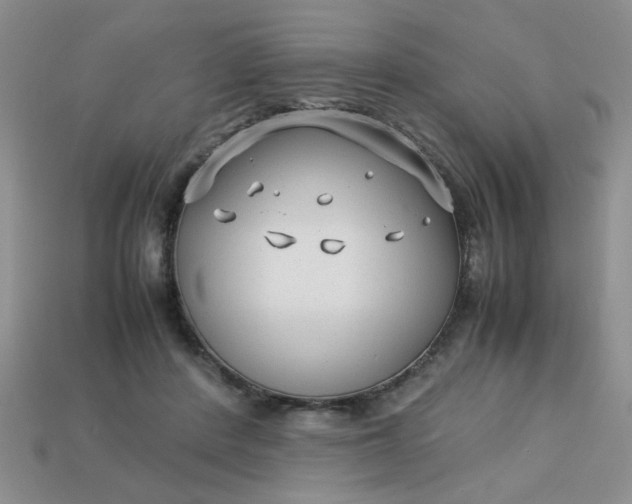 X0000113010408200909101821