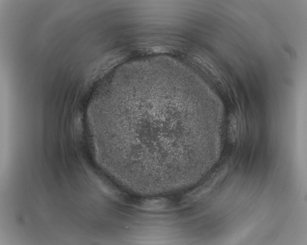 X0000113010410200909101821