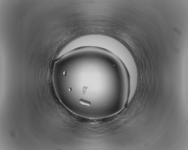 X0000113010411200909101821