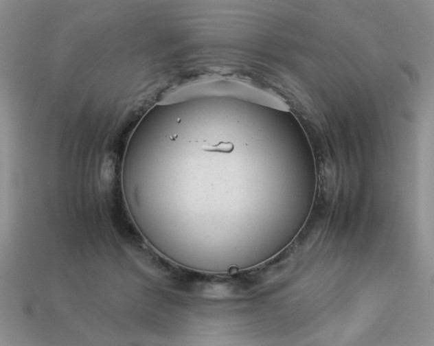 X0000113010412200909101821